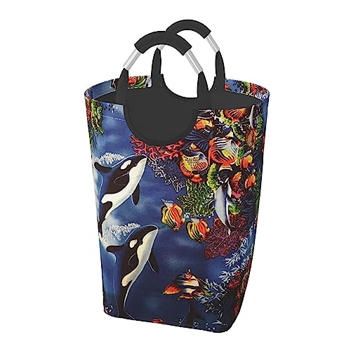 ~ ԕ h[oXPbg JS t nht e 50l h[[ 󕨓