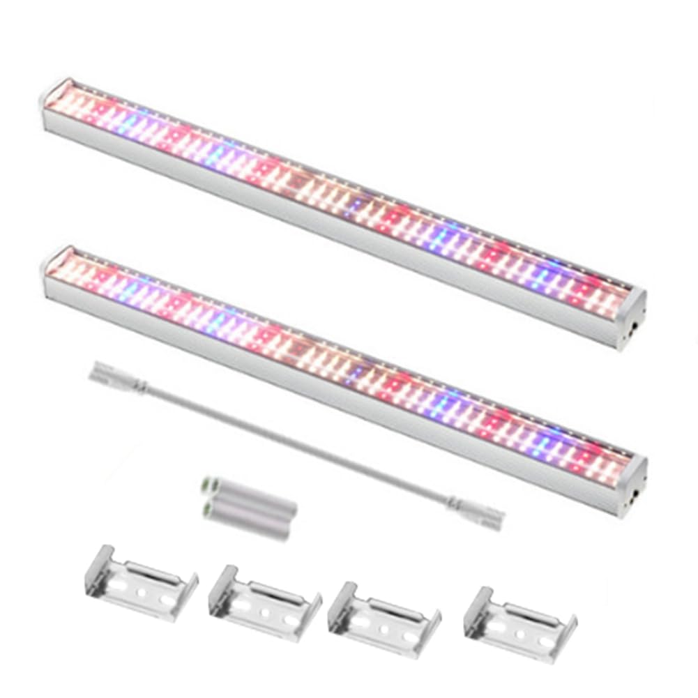Lampe pour plantes d'intérieur et semis pour créer un jardin urbain chez soi