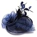 Fascinator Damen Frauen Braut Haarschmuck aus Mesh Federn Pillbox-Hut elegant Netzschleier vintage Headwear Haar Accessoire Kopfbedeckung Blumen Stirnband für Karneval Tea Party Cocktail Cosplay