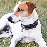 5 Stück Adressanhänger für Hunde Katzen, Katzenhalsband mit Namen, ID Tag Hundemarke Tiermarke mit Schlüsselringe, Hundehalsband Personalisiert, Adresskapsel für Haustiere, Katzen, Hunde