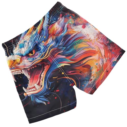 Pigsaly Boys Swim Trunks Dragon Painting Style Boys Board Shorts Swimsuit Swimwear Summer Bathing Suit 4T Multicolor2