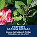 BioAdvanced 3-In-1 Insect, Disease and Mite Control, Fungicide, Concentrate, 32 oz