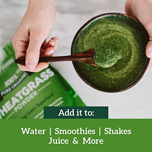 Sari Foods Organic Wheatgrass Powder - Wheat Grass Juice Powder With Chlorophyll, Antioxidants & Vitamins (15 Ounce) #TOP2
