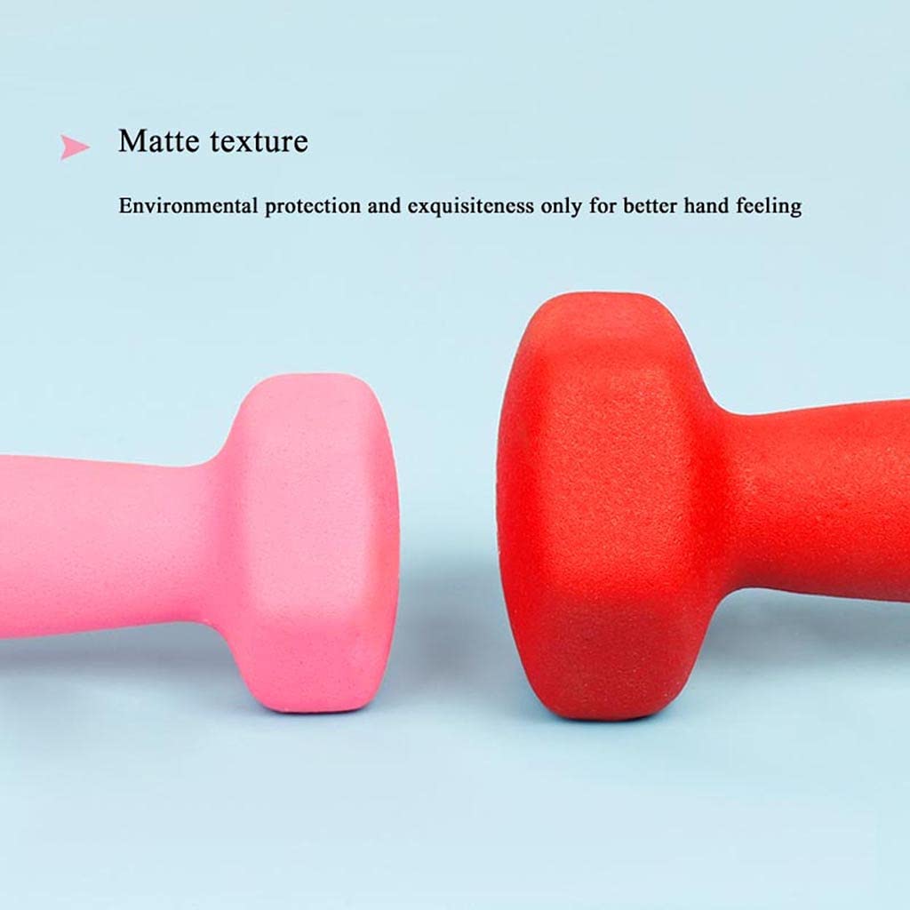 Mancuernas Pesas Recubrimiento de Vinilo Gimnasio y Ejercicios En El Hogar Impermeable y Antideslizante con Acabado Mate, Par Mancuerna pequeña (Size : 2x2kg)