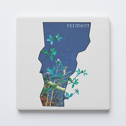 Posavasos de Vermont State, Joyride Home Decor, posavasos de cerámica individual, posavasos cuadrado individual de 4 pulgadas, parte trasera de