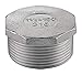 Hex Plug, 1/8 in, Threaded, 316 SS