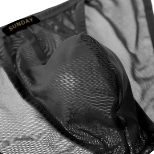 Summer Code Mens Sheer Briefs Mesh Lightweight Underwear Comfortable Low Rise Underpants for Men3