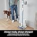 Shark Detect Clean & Empty | Lightweight Cordless Vacuum Cleaner with Auto-Empty System | HEPA Filter, Portable Handheld Attachment, Powerfins Brushroll | Cloudy Blue | IW4624