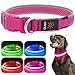 Flashseen LED Dog Collar, USB Rechargeable Light Up Dog Collar Lights, Adjustable Comfortable Soft Mesh Safety Dog Collar for Small, Medium, Large Dogs(Small, Candy Pink)