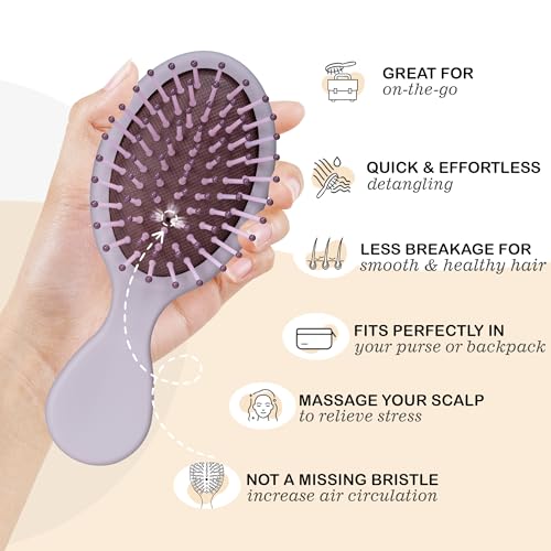 4Pcs Mini Hair Brush, Travel Detangling Brush - image 3