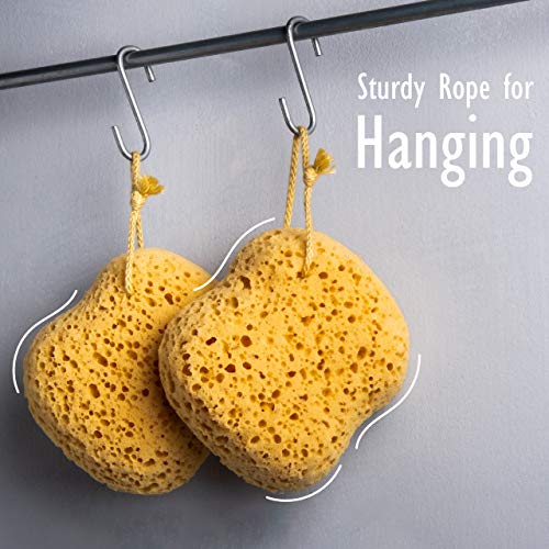 image for myHomeBody Bath Sponge, Foam Loofah, Body Scrubber for Bathing, Exfoli