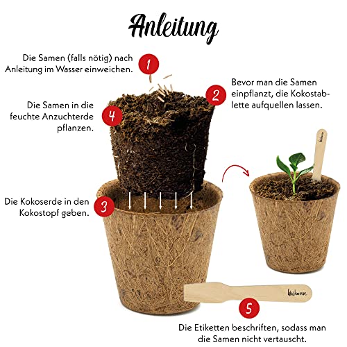 HappySeed Bonsai Starter Kit Anzuchtset inkl. GRATIS eBook - Pflanzset aus Kokostöpfen, Samen & Erde - nachhaltige Geschenkidee für Pflanzenfreunde (Wüstenrose + Berg Mammutbaum)