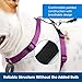 PetSafe 3-in-1 Harness - Comfortable Easy-Walk Dog Chest Harness with Front Leash Attachment to Reduce Pulling, Choking & Gagging - Dog Obedience Gear - Medium - Plum