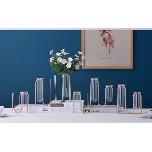 maozi 6 unids Vidrio Prueba Tubo jarrón luz Lujo Lujo Hierro Forjado decoración del hogar Inserto seco Flor de Flor de Flor decoración