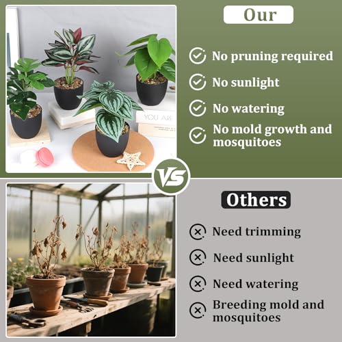 MIGUBIGU Pack of 3 Artificial Tropical Plants 24 x 20 cm, Artificial Plants Like Real in a Pot, Plastic Plants, Bathroom Decorative Plants, Artificial Fake Plants for Living Room, Room, Balcony