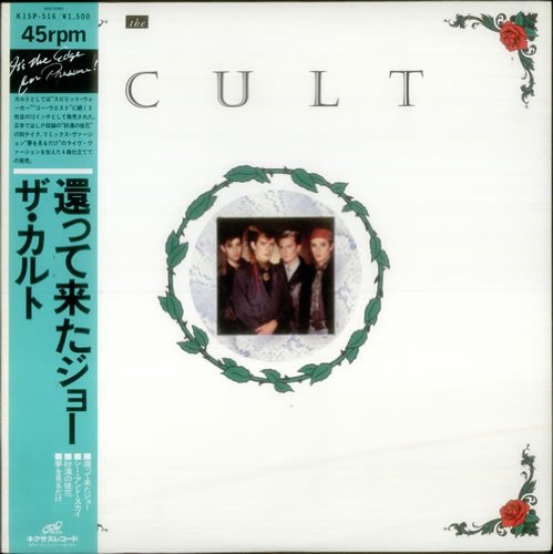 ABSOLUTE CULT Maglietta 'Harry Potter - Centaur Line Art' In Rosso - Foto 8