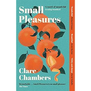 Small Pleasures: Longlisted for the Women’s Prize for Fiction 2021