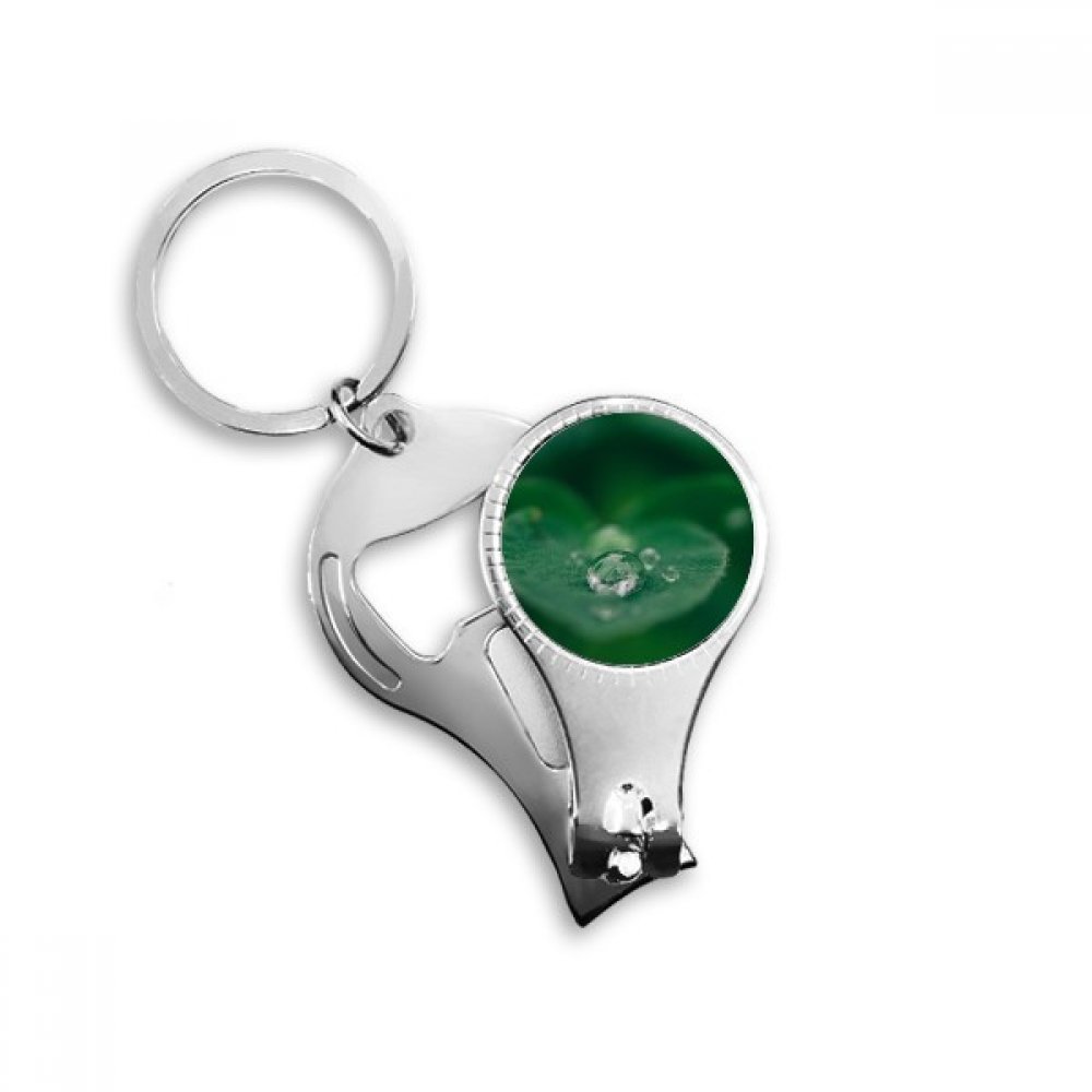 Pince à ongles Dewdrop avec motif feuille en acier élégant pour une manucure soignée