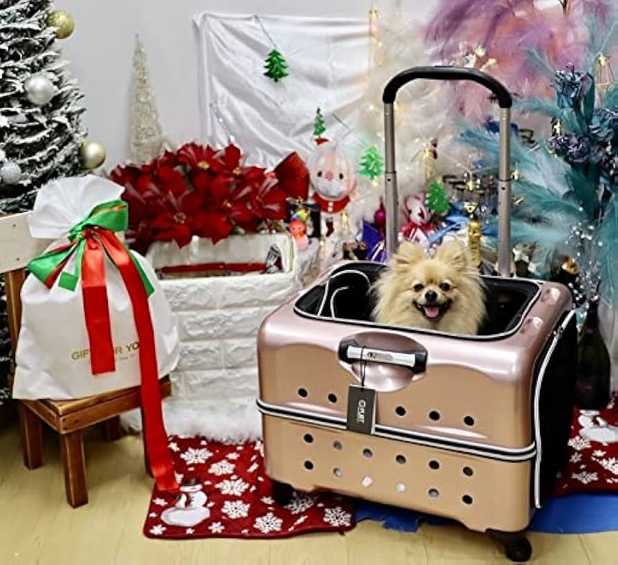 Amazon | (ルイアンドアグリ) RUI&AGURI ペットキャリー ハードケース