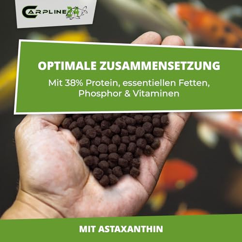 Carpline24 Eco Multi Koi Mix 2,5 kg 6 mm - Hochwertiges Koifutter mit Astaxanthin, Proteinreiches Fischfutter Farbenprächtige Teichfische