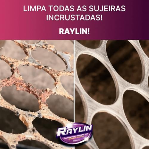 Desengraxante e Removedor Multiuso Limpeza Pesada 500ml Raylin