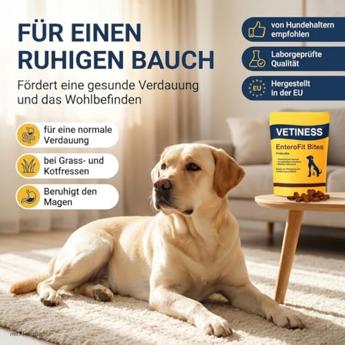 vetiness EnteroFit Bites Probiotika Hund | Magen und Darm | Verdaunungs Snacks | 75 Stück | Gras und Kotfresser Drops Hund fördern die Darmregulierung und Verdauung | Sodbrennen