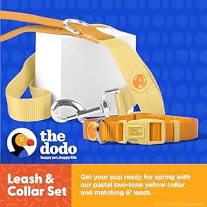 The Dodo All Nylon Yellow Collar and Leash Set – Medium; Matching Cute Leash and Collar Set; Waterproof Dog Leash and Collar Set, Perfect for Beach Day or Trips to The Lake
