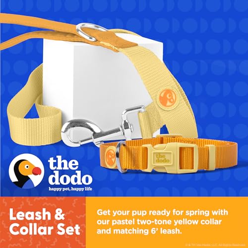 The Dodo All Nylon Yellow Collar and Leash Set – Medium; Matching Cute Leash and Collar Set; Waterproof Dog Leash and Collar Set, Perfect for Beach Day or Trips to The Lake The Dodo All Nylon Yellow Collar and Leash Set – Medium; Matching Cute Leash and Collar Set; Waterproof Dog Leash and Collar Set, Perfect for Beach Day or Trips to The Lake