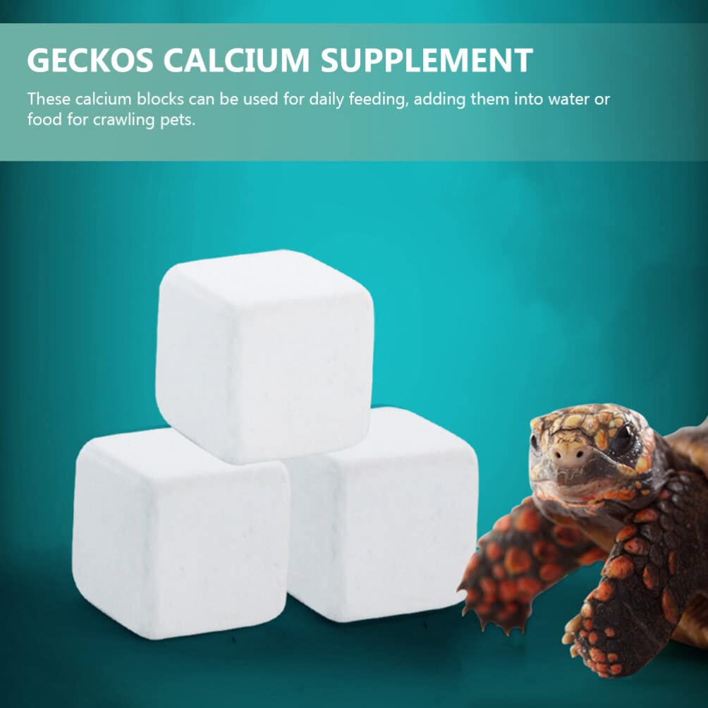 50 Pcs Calcio De Tortuga Acuática Suministros De Tortuga Calcio Mineral Reptil Calcio para Reptiles Polvo De Calcio De Tortuga Pulverizador Bloque Mineral Tanque De Tortuga