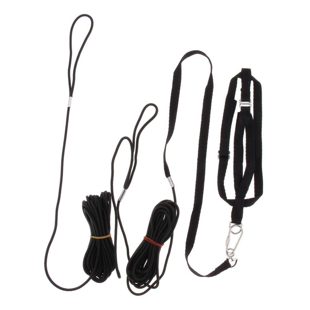 LOVIVER Adjustable Bird Harness 8 Meters for Parrot Budgerigar Macaws Finches Canary