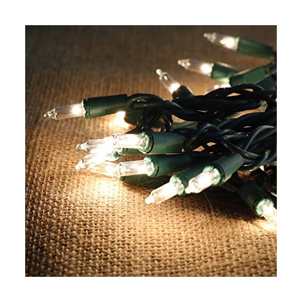 Joiedomi Weihnachtslichter-Set, 100 Stück, transparent, grünes Kabel, warmweiße Lichter für den Innen- oder Außenbereich… – Bild 3
