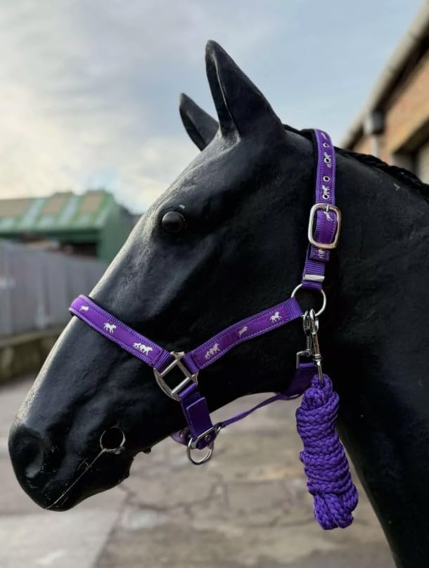 Horse Headcollar and Lead Rope Set, Pink with Horse Print Pattern, Padded Nubuck (Purple, Mini Shetland)