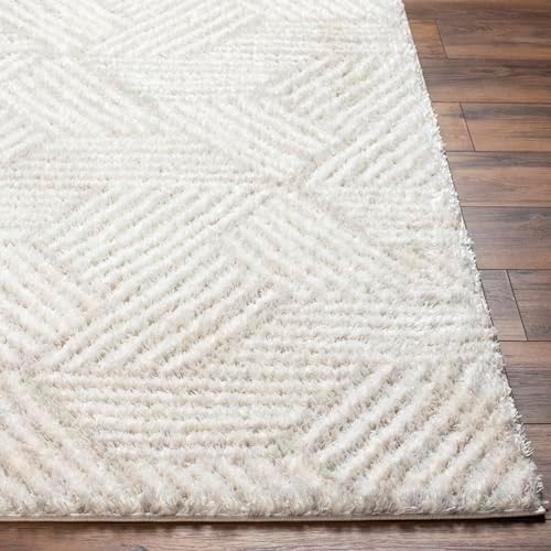 Livabliss Kapan Tapis Shaggy Poils Longs - Tapis Salon, Salle à M...