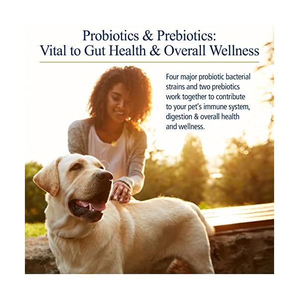 Rx Biotic for Pets 2.12 oz Powder – Professional Veterinary Formulas – Hypoallergenic & Vegetarian Rx Biotic for Pets 2.12 oz Powder – Professional Veterinary Formulas – Hypoallergenic & Vegetarian