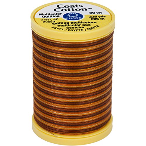 Hilo para máquina de coser Coats algodón multicolor 225 yd miniatura 1