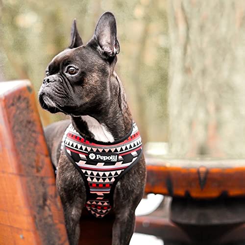 Pepolli Hundegeschirr verstellbar | Geschirr für Franz. Bulldogge, Frenchie, Frenchbulldog, Mops (M (Hals 37–40 cm, Brust 51–71 cm)