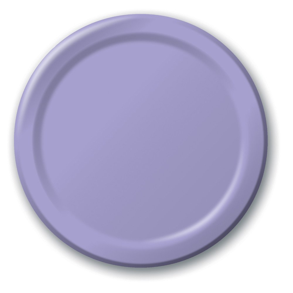 Creative ConvertingTouch Of Colour LUScioUS Lunch Plate Pack Of 24, Lavender, 10-Inch Size