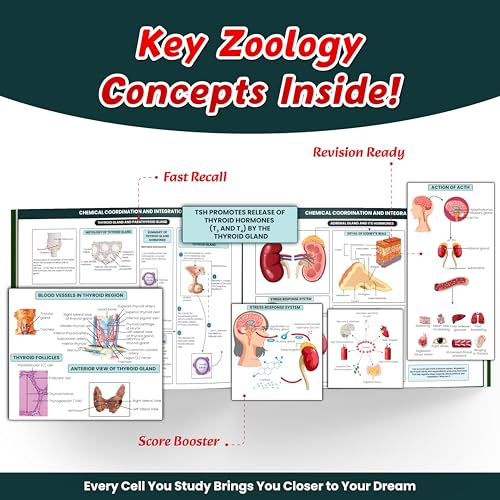 Image of PW NEET BioLens Biology Through Images For 2024-25 Exams l Interactive 3D Models, Visual Representation, Practice Questions [Paperback] PW