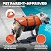 Outward Hound Granby Splash Dog Life Jacket, High-Buoyancy Dog Life Vest for Swimming, Boating, and Water Safety, Small, Orange