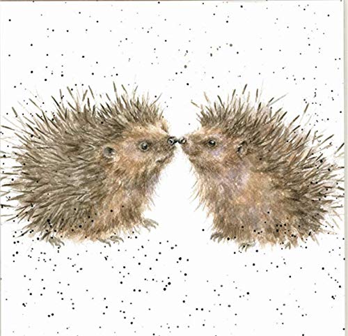 Wrendale Designs Hedgehog Print on White Square 20 cm Canvas Hugs and Kisses