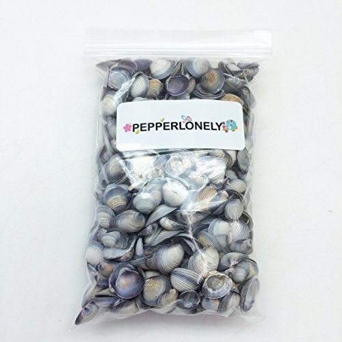 PEPPERLONELY Small Violet Clam Sea Shells, 8 OZ Apprx. 1/2 Inch ~ 3/4 Inch