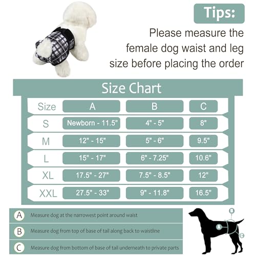 Image of Female Dog Diapers 5Pcs - Premium Reusable Diapers for Doggie in Heat - Highly Absorbent Dog Diapers Female for Pet Incontinence with Adjustable Snaps, Black, XL