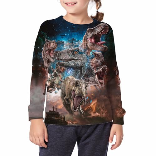 Boy's Girl's Comfy Print 3D T-rex Dinosaur Sport Long Sleeve Crew Neck Sweatshirt With 6-14 Years2