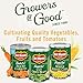 Del Monte Fresh Cut Seasoned Green Beans - 14.5 oz