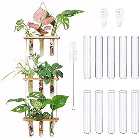 Terrario colgante de pared con soporte de madera y 10 tubos de vidrio Cover