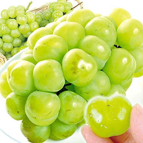 ぶどう 約1kg 瀬戸ジャイアンツ 岡山産 ご家庭用(約500g×2房)種なしブドウ 高糖度 皮ごと食べられる 食品 ぶどう 約1kg 瀬戸ジャイアンツ 岡山産 ご家庭用(約500g×2房)種なしブドウ 高糖度 皮ごと食べられる 食品