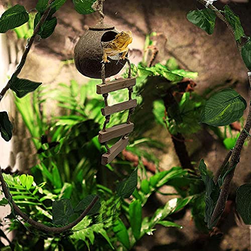 Kathson Lizard Coco Den Gecko Coconut Husk Hut With Ladder Reptile Terrarium Plants Decor Hanging Lizards Hideouts Habitat Climbing Decorations Jungle Climber Vines For Chameleon 5 Pack #TOP6