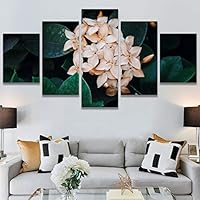 SIGNWIN 5 Panel Canvas Wall Art Modern Art Bohemian Bouquet Colorful Cool Floral Group Multicolor Photography Realism for Home Decorations Ready to Hang - 60