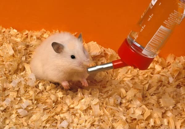 See full amazon price history chart for Taiyo Pluss Discovery® Hamster Water Bottle Dispenser, Size: (4X10.2 cm), Automatic Feeding Device for Hamster, Rabbit, Guinea Pigs (Color May Vary) Taiyo Pluss Discovery® Hamster Water Bottle Dispenser, Size: (4X10.2 cm), Automatic Feeding Device for Hamster, Rabbit, Guinea Pigs (Color May Vary) (B0B5D3Q118) Amazon Price History, Amazon Price Tracker