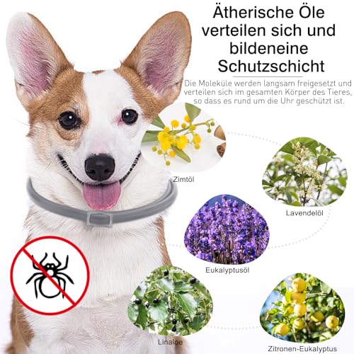 DEWEL 63.5cm Zeckenhalsband für Hunde und Katze, Floh Zecken Kragen Floh-und Zecken Prävention Halsbänder, Verstellbar Wasserdicht Hund Flohhalsband
